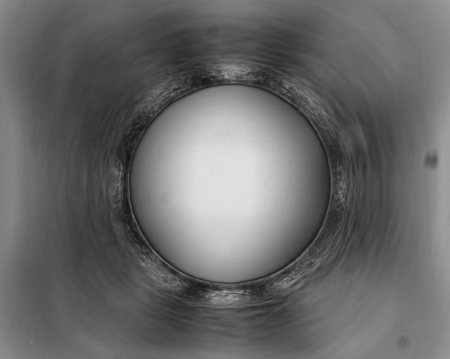 X0000098120461200804181525