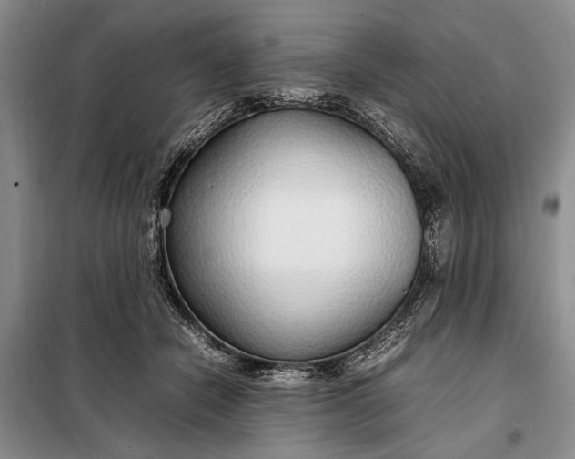 X0000098120462200804181525