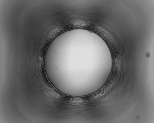 X0000098120463200804181525