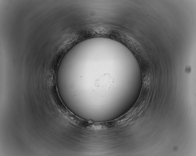 X0000098120464200804181525
