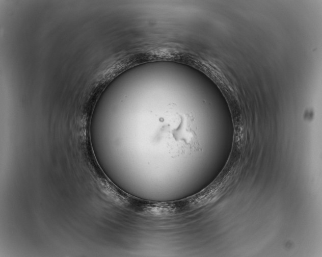 X0000098120466200804181525