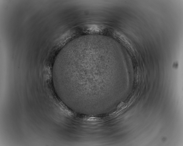X0000098120467200804181525