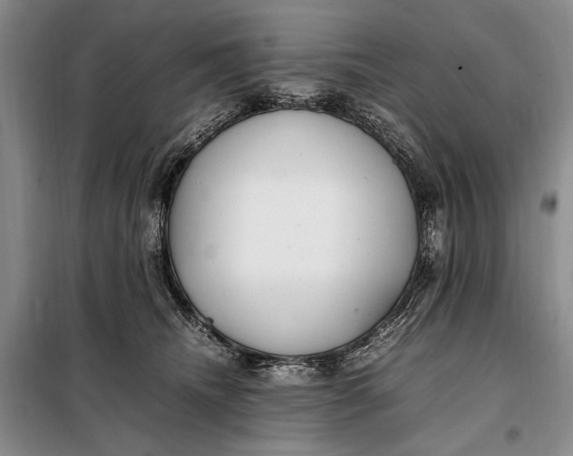 X0000098120468200804181525