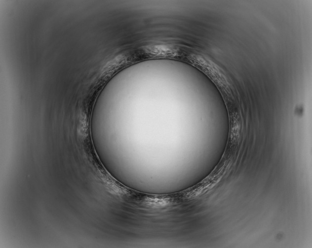 X0000098120469200804181525