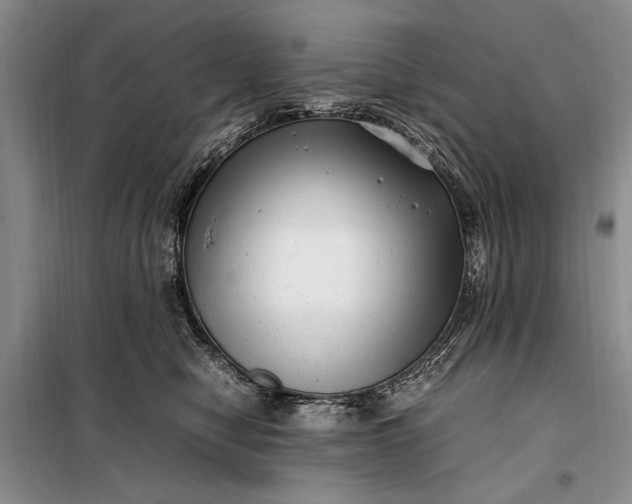 X0000098120470200804181525