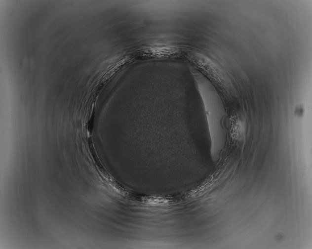 X0000098120471200804181525