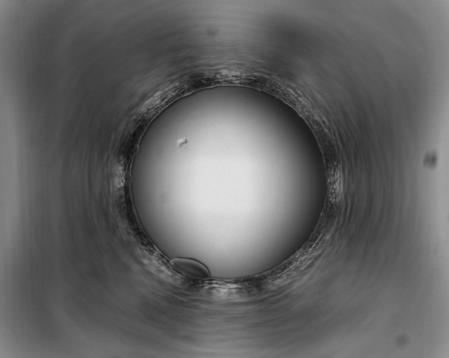 X0000098120472200804181525