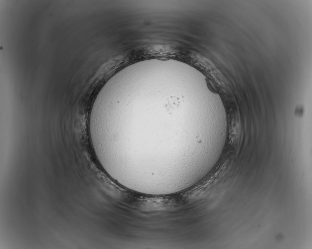 X0000098120473200804181525
