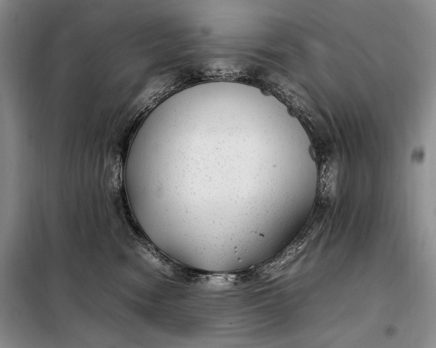 X0000098120474200804181525