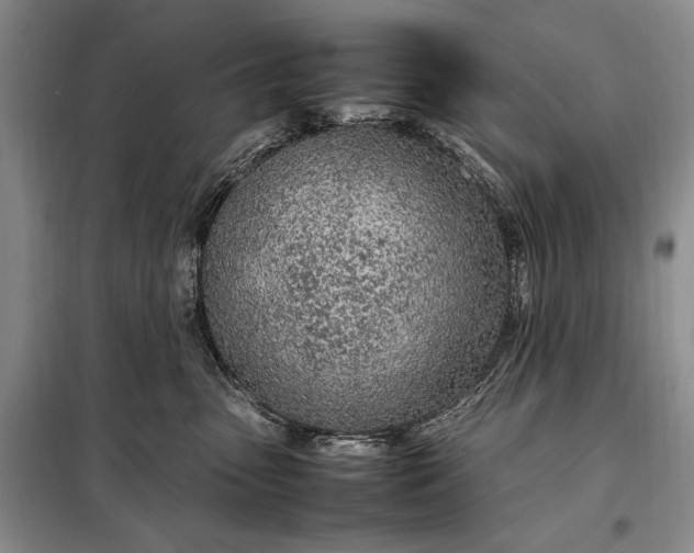 X0000098120475200804181525
