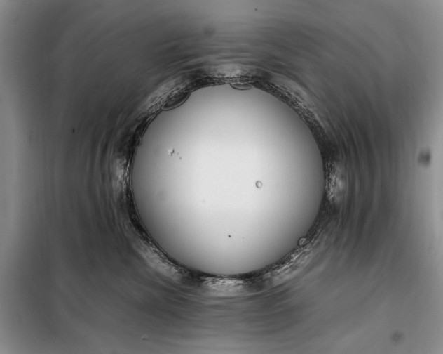 X0000098120476200804181525
