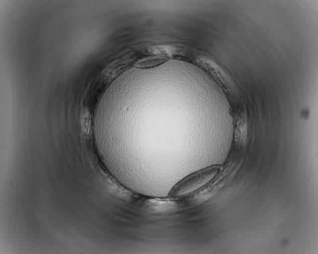 X0000098120477200804181525