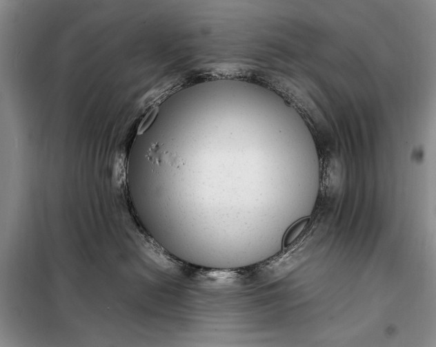 X0000098120478200804181525