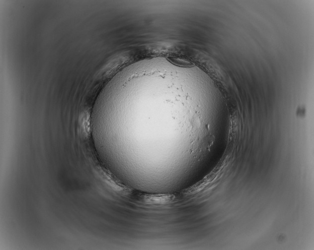 X0000098120479200804181525