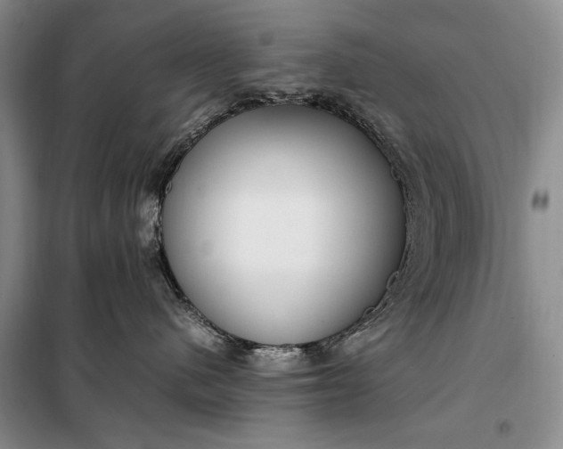 X0000098120480200804181525
