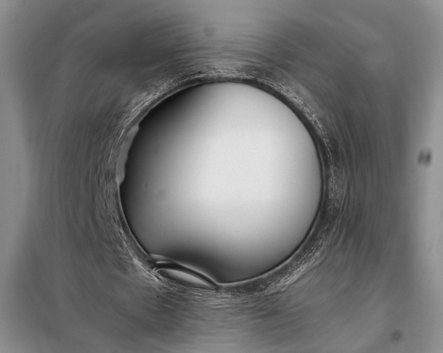 X0000098120481200804181524