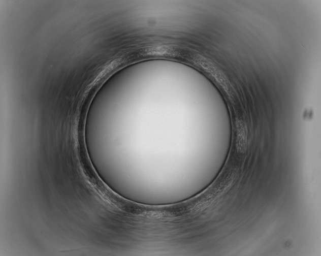 X0000098120482200804181524