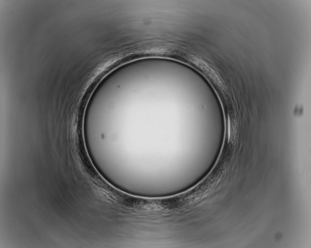 X0000098120483200804181524