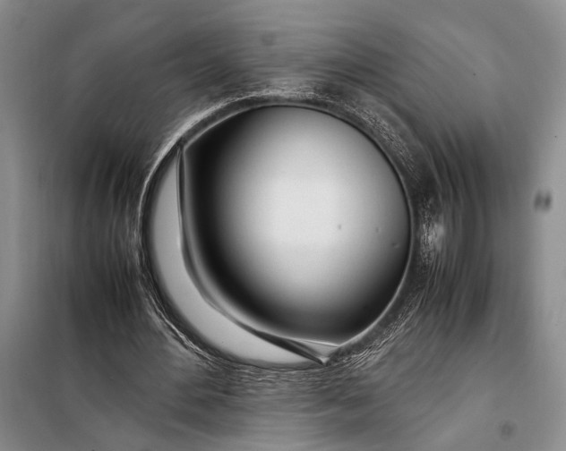 X0000098120484200804181524