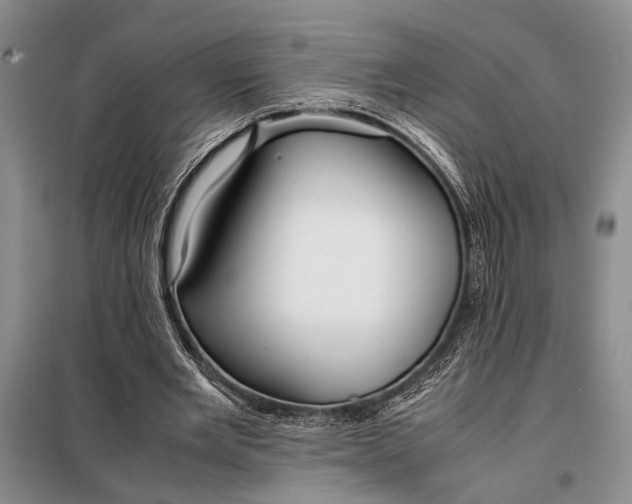 X0000098120485200804181524