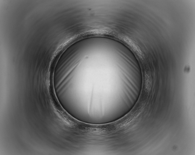 X0000098120486200804181524
