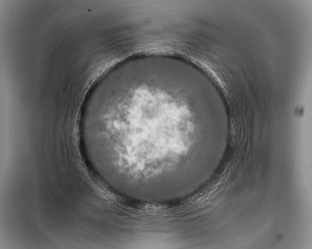 X0000098120487200804181524