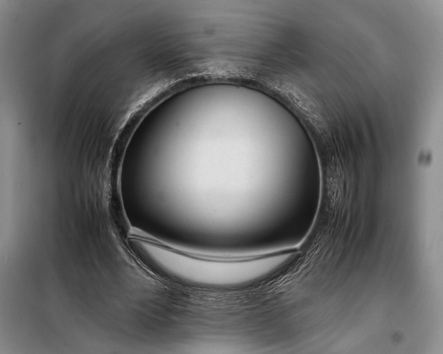 X0000098120488200804181524