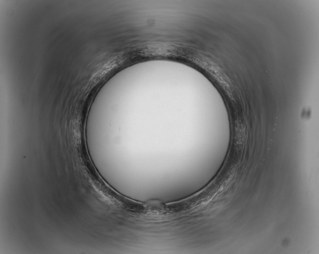 X0000098120489200804181524