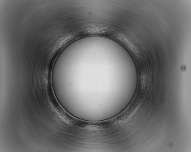 X0000098120490200804181524