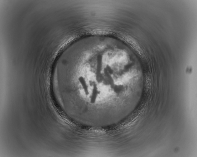 X0000098120491200804181524