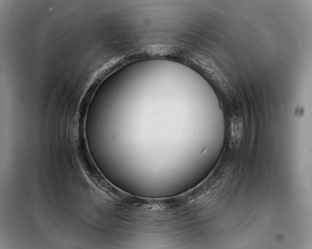 X0000098120492200804181524