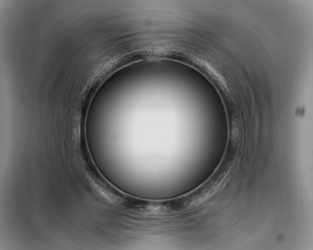 X0000098120493200804181524