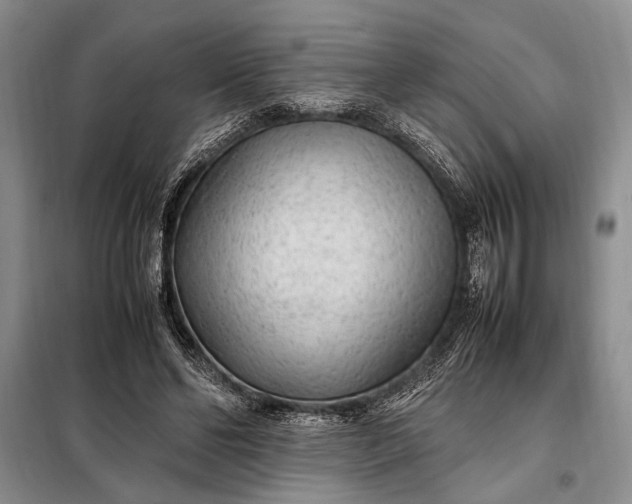 X0000098120494200804181524