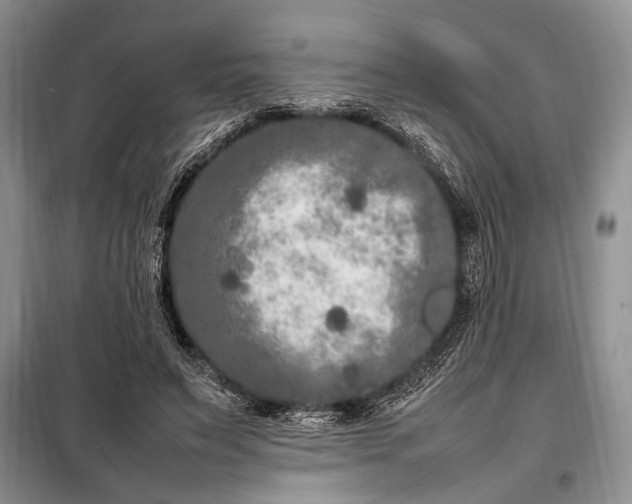 X0000098120495200804181524