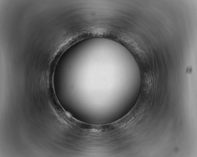 X0000098120496200804181524