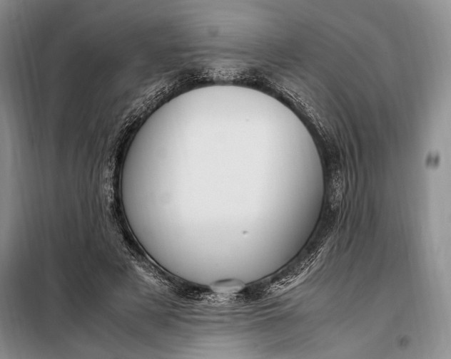 X0000098120497200804181524