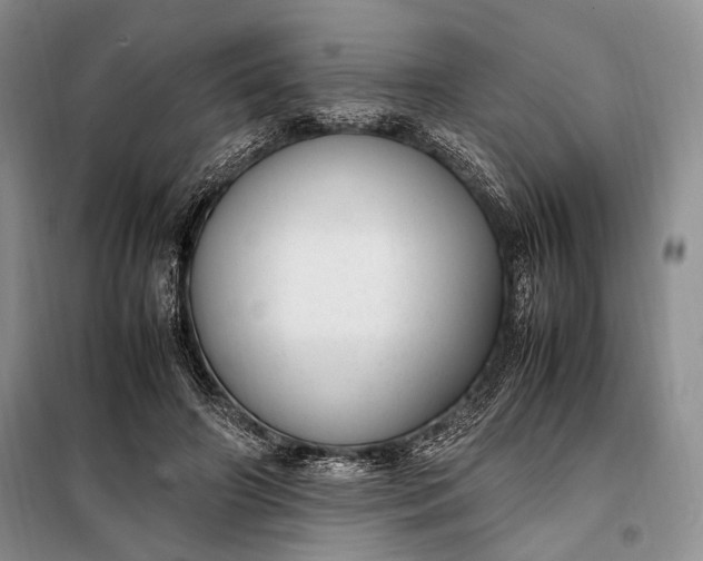 X0000098120498200804181524