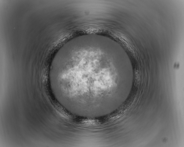 X0000098120499200804181524