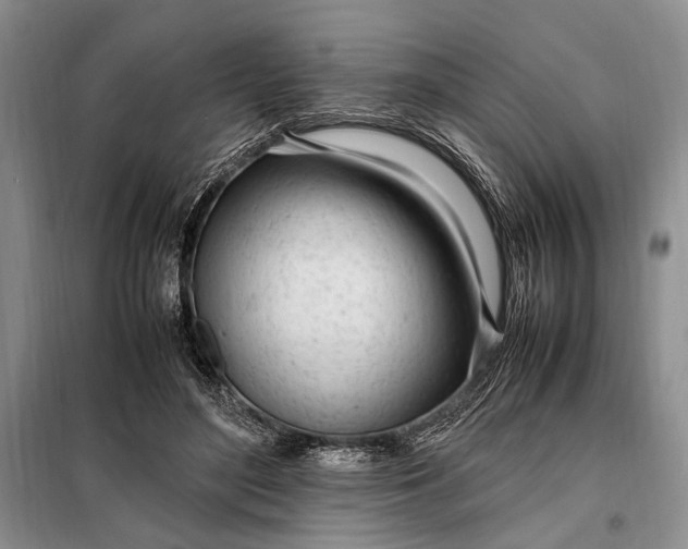 X0000098120500200804181524