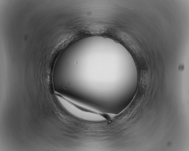 X0000098120501200804181524