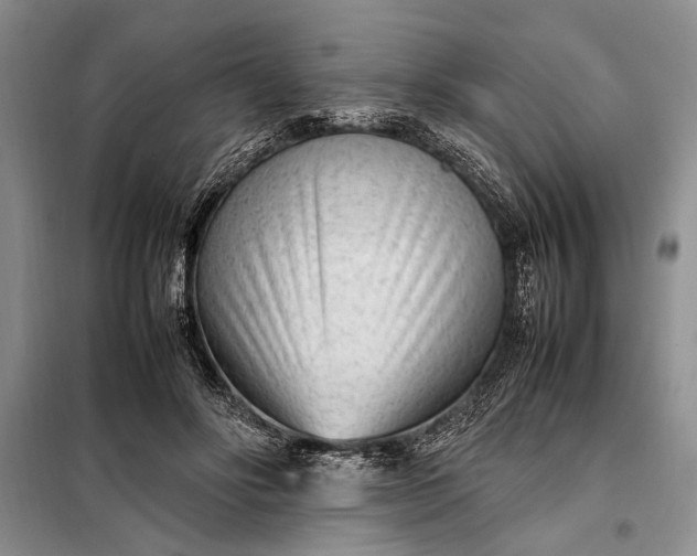 X0000098120502200804181524
