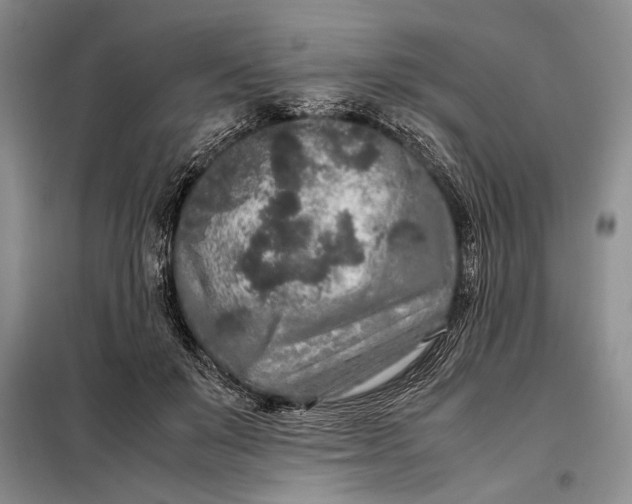 X0000098120503200804181524