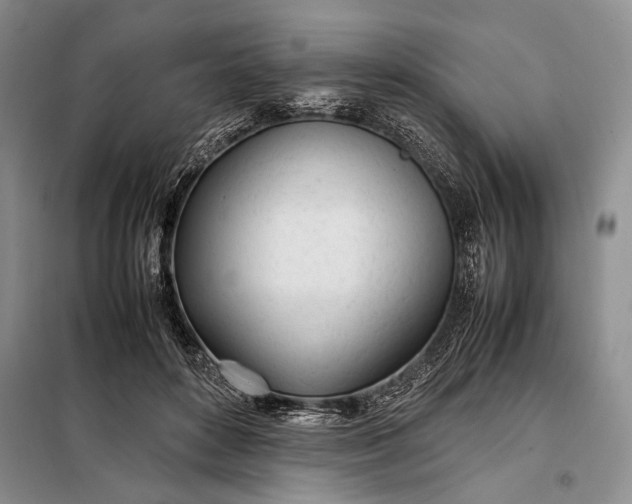 X0000098120504200804181524