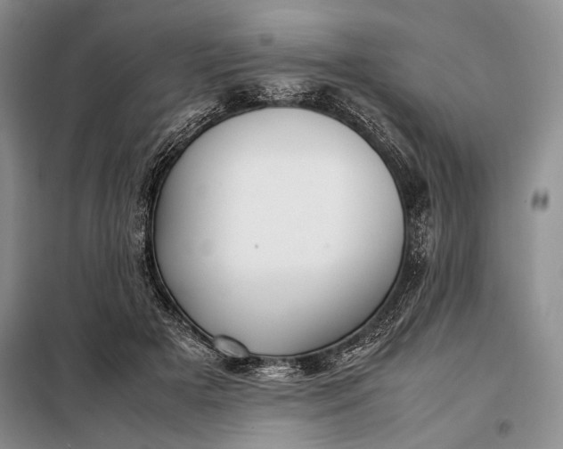 X0000098120505200804181524