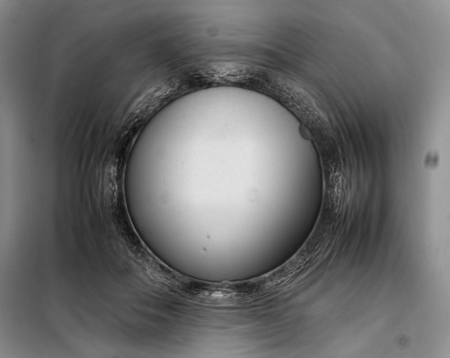 X0000098120506200804181524