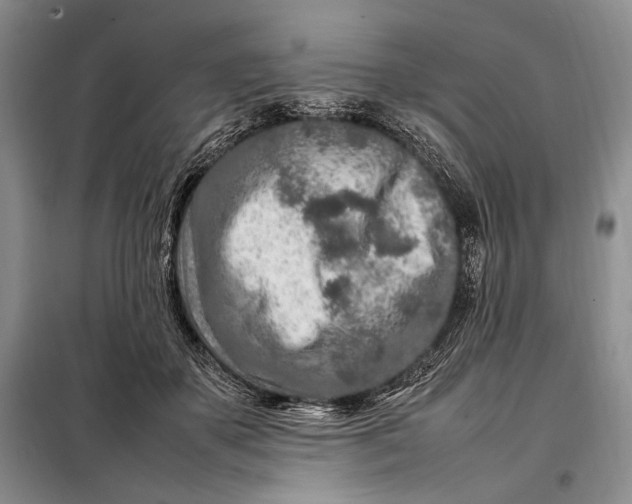X0000098120507200804181524