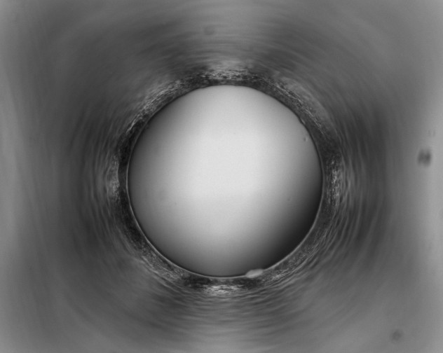X0000098120508200804181524