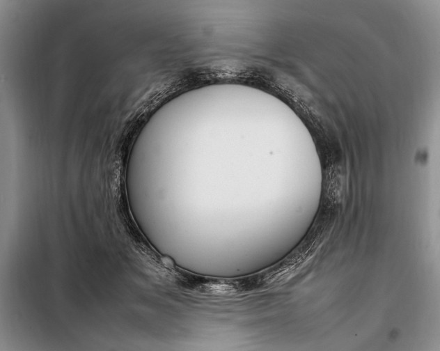 X0000098120509200804181524