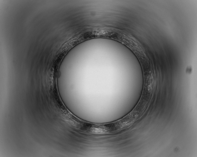 X0000098120510200804181524