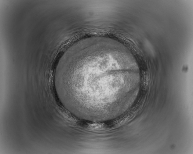 X0000098120511200804181524